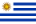 UY flag